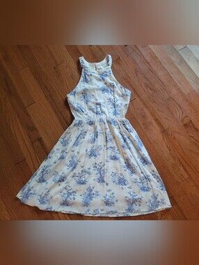 Cinderella Cream and Blue Dress with Gold Logo